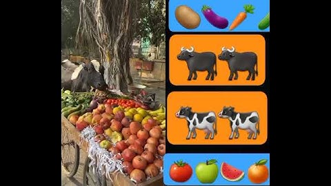 अंकल का सब्ज़ी गाय माता खा गई😱🥲#humanity #respect #helping #trending #viralvideo #youtubeshorts