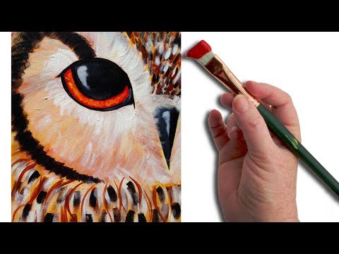 Simple Owl EYE Beginner Acrylic Painting Lesson  The Art Sherpa