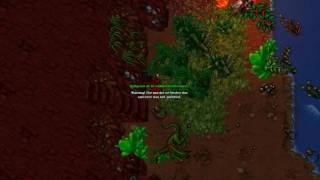Ninja Safadaum, Julera tibia