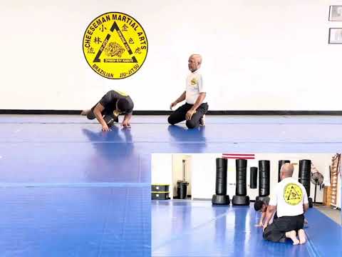 Brazilian Jiu Jitsu