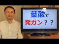 葉酸は発ガンのリスクを上げますか？【栄養チャンネル信長】