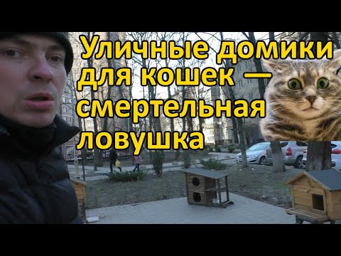 Уличные домики для кошек - смертельная ловушка