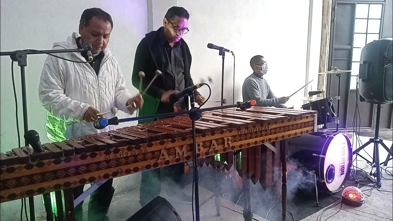 Cuéntame / Marimba Tradicional "Ámbar" / 7225308862 Marimba en Toluca