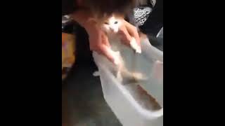 One little kernel, at a time...