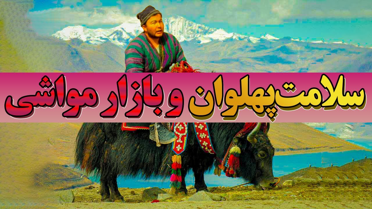 گاو بی‌شیری که سلامت پهلوان را دوبار صاحب خود کرد!