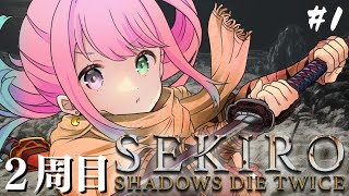 姫森ルーナの配信のサムネイル画像