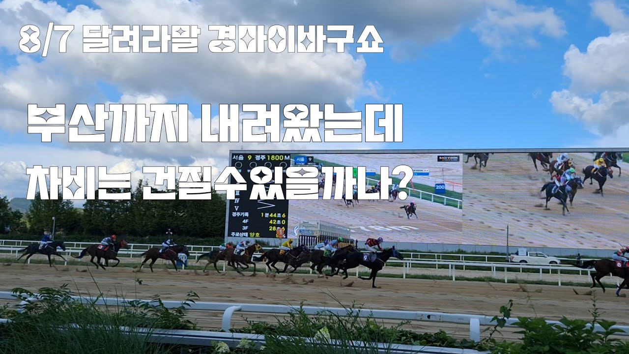 경마도 보고 해수욕장도 보고~ 경마는 내일도 다음주도 합니다!