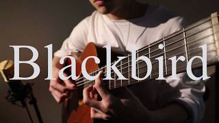【ビートルズ】Blackbird【三味線×ギター】