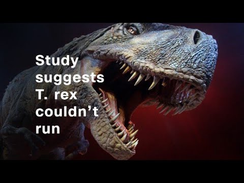 T. rex walked surprisingly slowly, new study finds - CNN