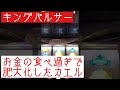 【キングパルサー】 1日1見せ場 《大きすぎて隠れきれていないデカガエル》 これからもスロットを愛して行きましょー！