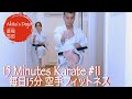 15 Minutes Karate #11  毎日15分 空手フィットネス 【Akita's Karate Video】   HD 1080p