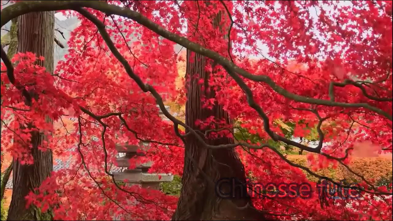 Chinese flute sound for relaxing 