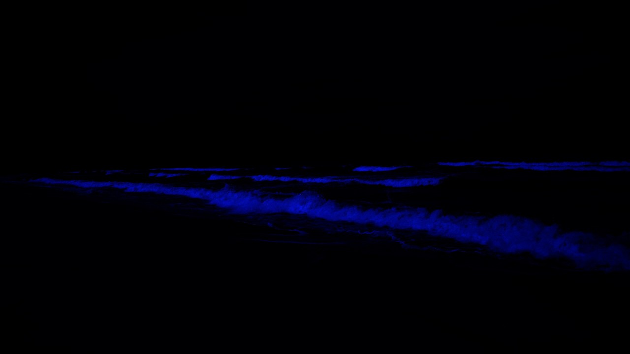 Fall Into Sleep Instantly NO ADS • Melatonin Release, Deep Sleep Fast • Remove Insomnia Forever