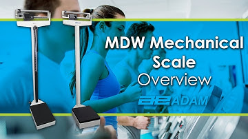 MDW Mechanical Physician Scale Overview