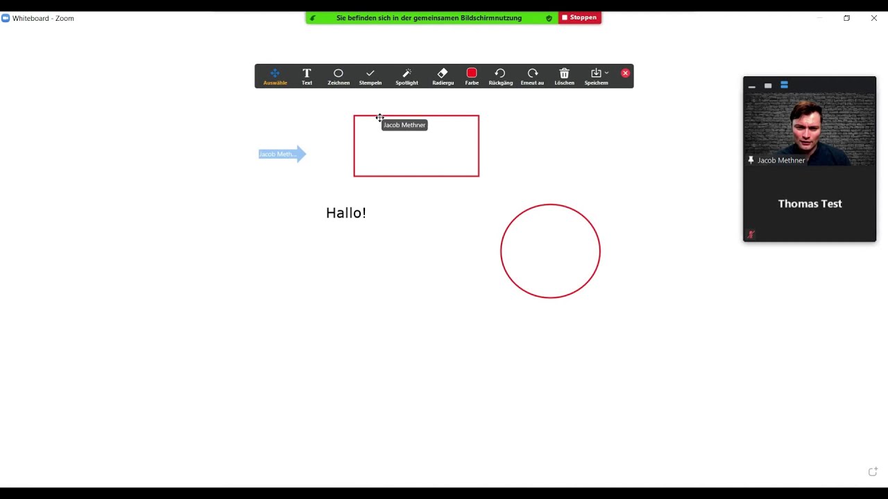 Zoom Whiteboard nutzen YouTube