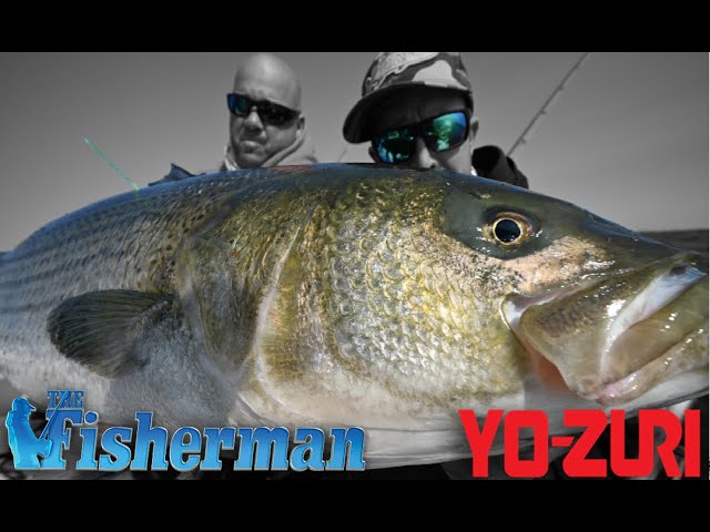 Yo-Zuri 100% Super FluoroCarbon Leader 