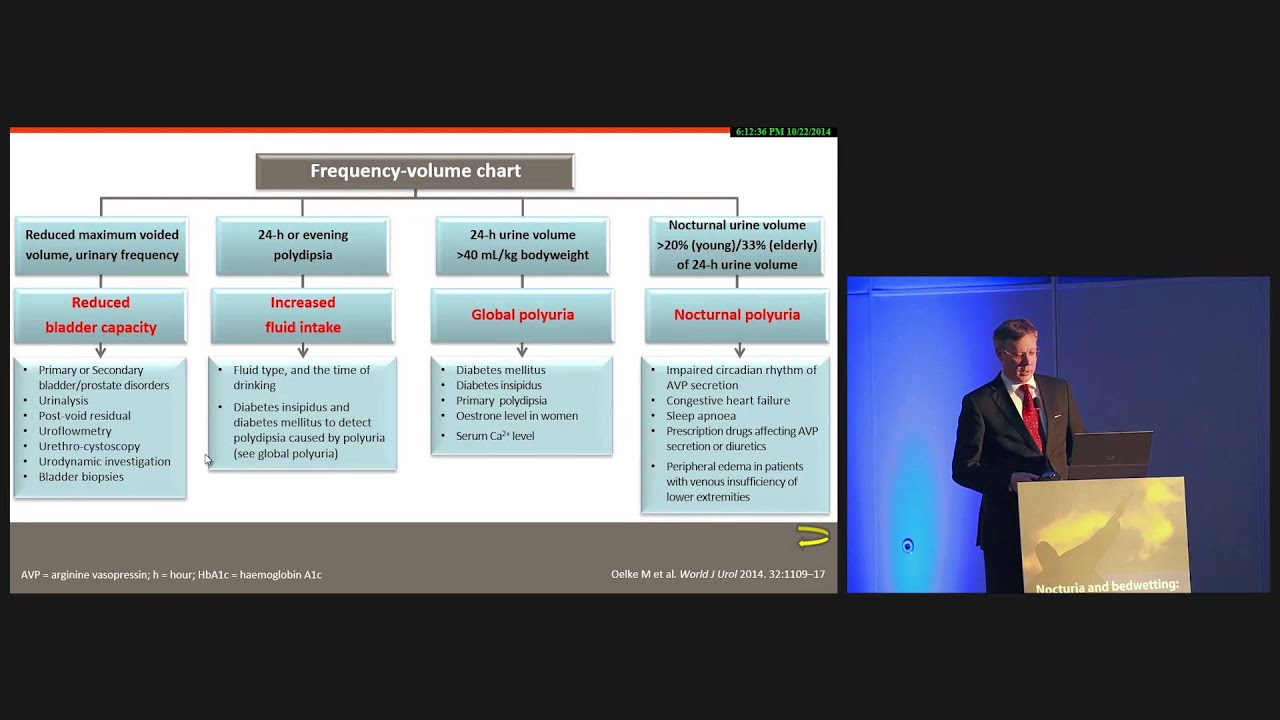 Satellite Symposia: Nocturia & Bedwetting