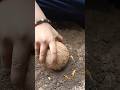 മണ്ണപ്പം ചുട്ട് കളിച്ചവരുണ്ടോ? #shorts #new #90s #shortvideo #short #shortsfeed #song #kiliyekiliye