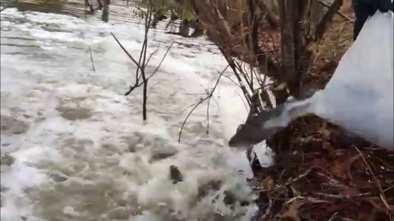 BREC Conservation Rainbow Trout Stocking YouTube
