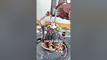 किसको दर्द सुनाए अपना #mahadev #bholenath #shiv #shorts #status #bhakti #bhajan #om #yt #mahakal