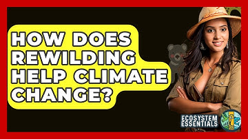 How Does Rewilding Help Climate Change? - Ecosystem Essentials