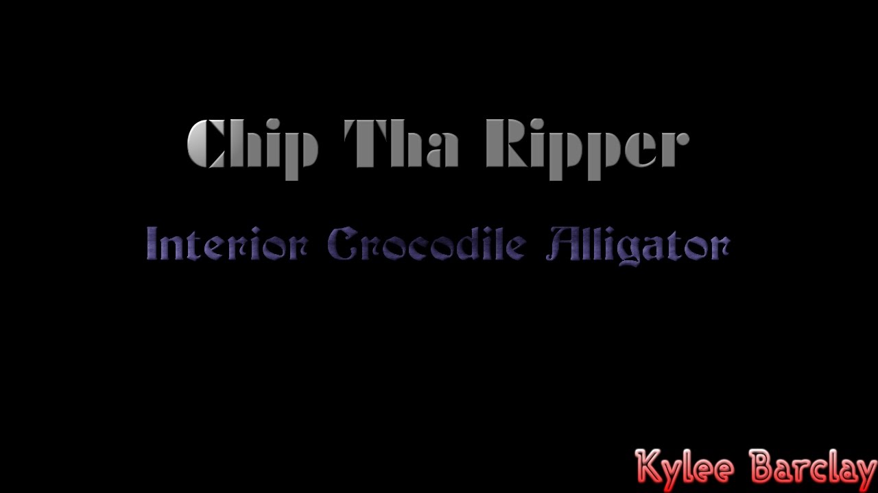 Chip Tha Ripper Interior Crocodile Alligator Song Lyrics