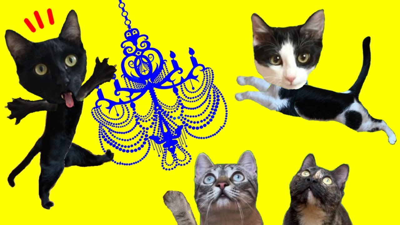 Gato vs lampara de araña con gatos graciosos Luna y Estrella y mi perro / Videos de gatitos