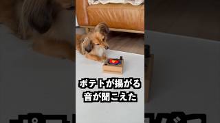 オレオを乗せると音楽が流れるプレーヤーにひっくり返したオレオを乗せたらすごい音が流れた!