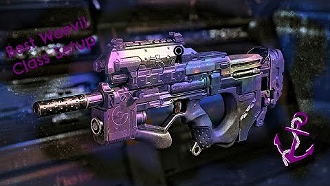 Best Weevil Class Setup - Black Ops 3