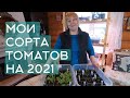 Выбираю лучшие сорта томатов на сезон 2021