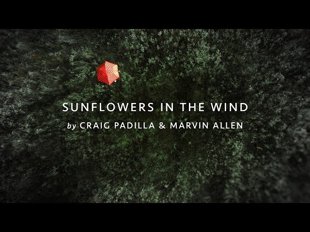 Craig Padilla & Marvin Allen – Sunflowers In The Wind (Official Video)
