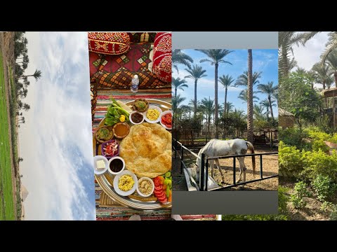      رحلة ليوم واحد اسكشاف الريف المصري