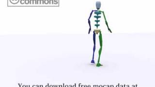 motion capture data walk -Backward-