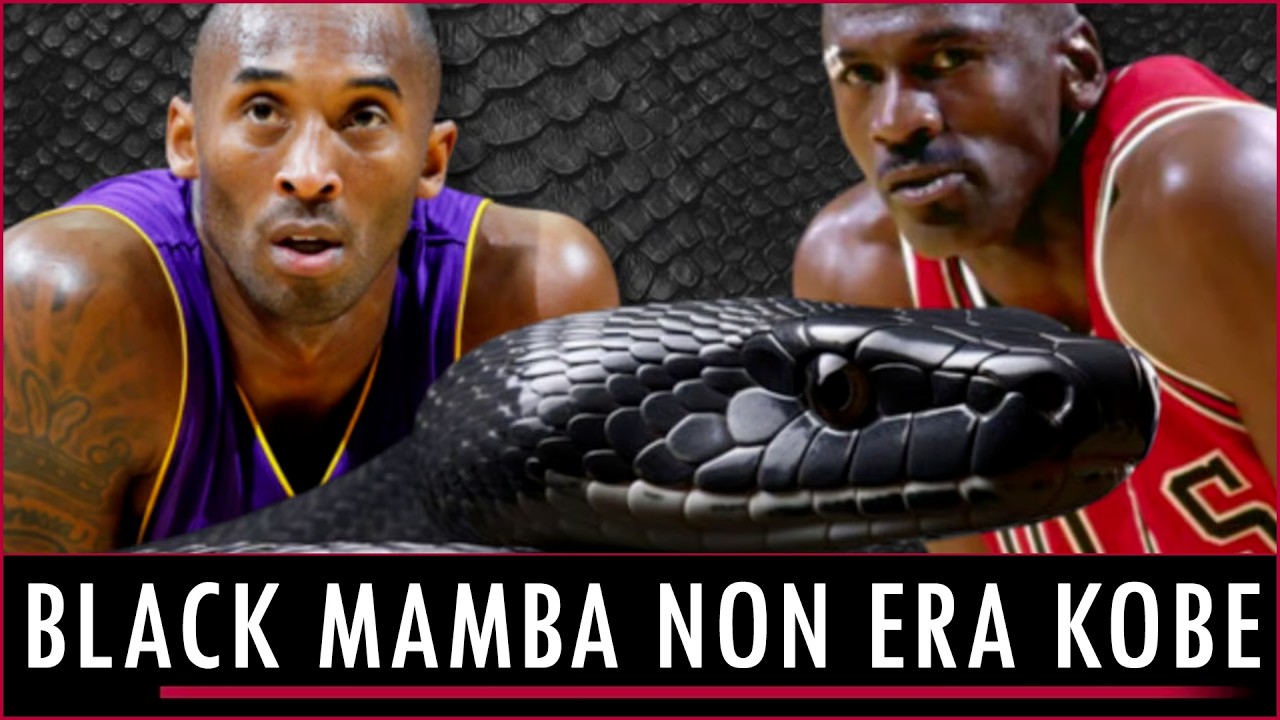 Il vero BLACK MAMBA non doveva essere KOBE BRYANT