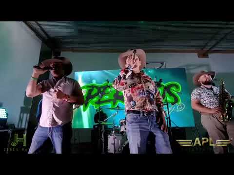 Watch Pericos Del Arroyo-Clave Privada (En Vivo) on YouTube Watch Pericos Del Arroyo-Clave Privada (En Vivo) on YouTube