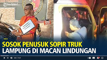 Sosok Penusuk Sopir Truk Lampung di Macan Lindungan, Terkuak Ada 5 Pelaku Keroyok Korban