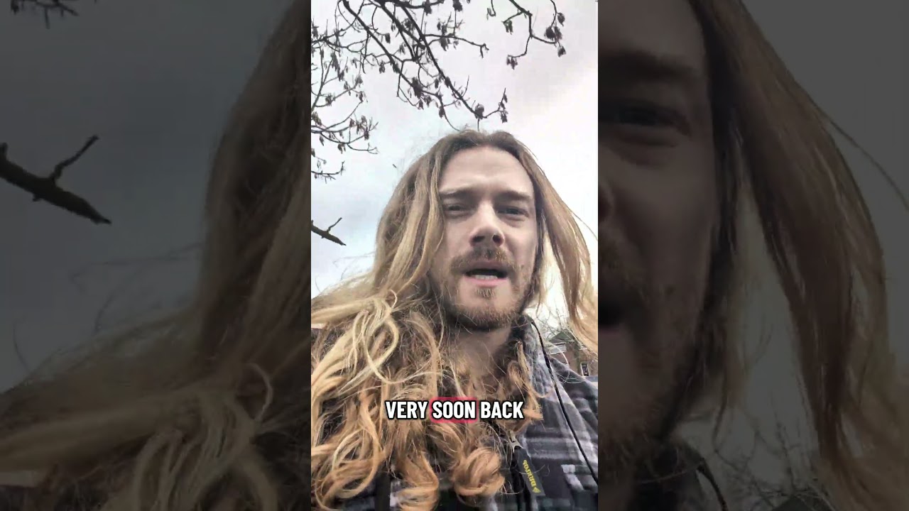 Зимние перелетные птицы 