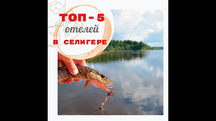 ТОП-5 отелей для рыбалки на Селигере🔥