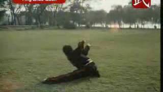 Wushu Eagle Claw (Yingzhao Quan)