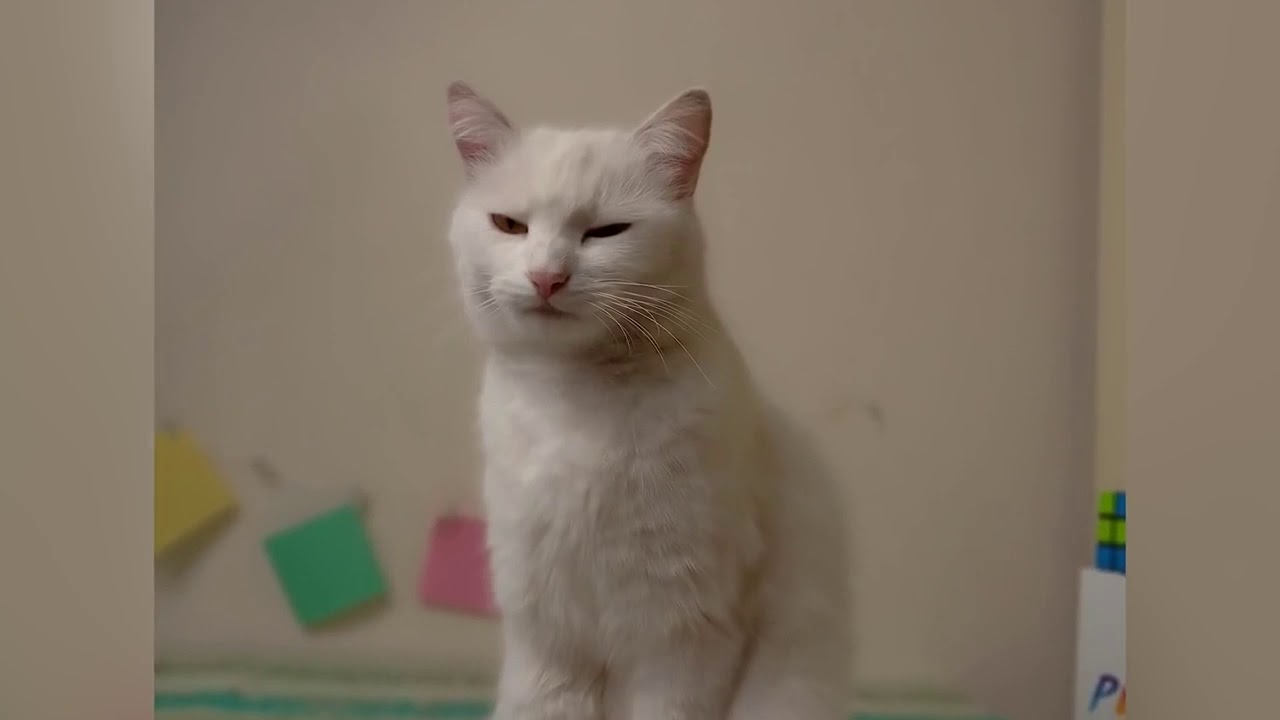 Xiaomi Mi Play   цена падает, интерес растет! Хорош за свои деньги