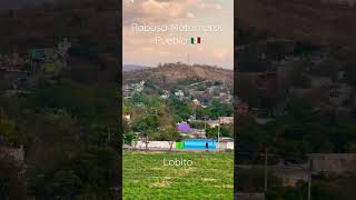 Raboso Matamoros Puebla 🇲🇽 #shorts