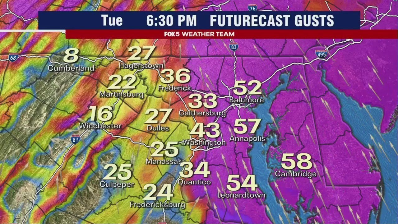 DC Weather: Heavy rain, flooding, gusty winds hit DMV