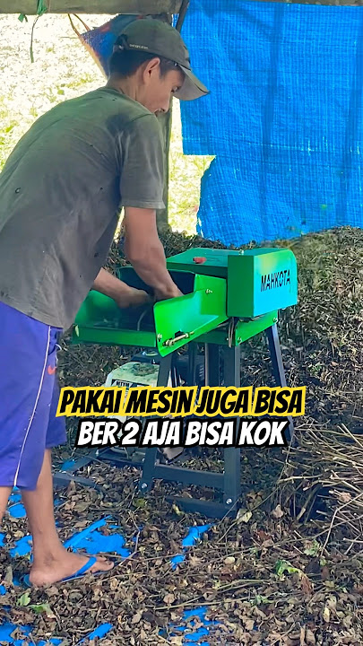 Mesin Pemotong Nilam, Lebih Praktis dan cepat #nilam #mesin #pertanian #minyaknilam #tipsandtricks