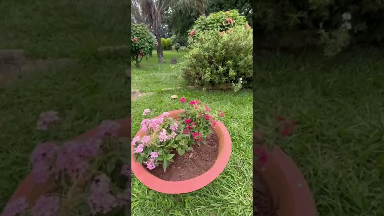 #hossainadnan #holytune #দে_দে_পাল_তুলে_দে #islamicsong #fishing #banglasarabarnaandbanjanbarna