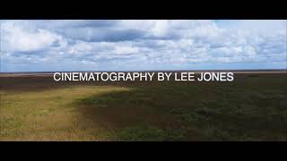 The Everglades teaser