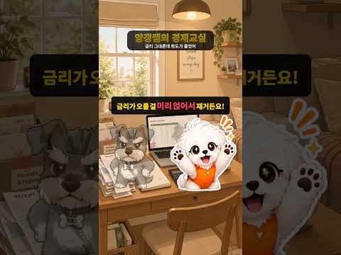 [영상뉴스] 😱 금리 그대론데 한도가 줄었어? 미리보기