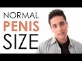 Is your penis size 'normal'?