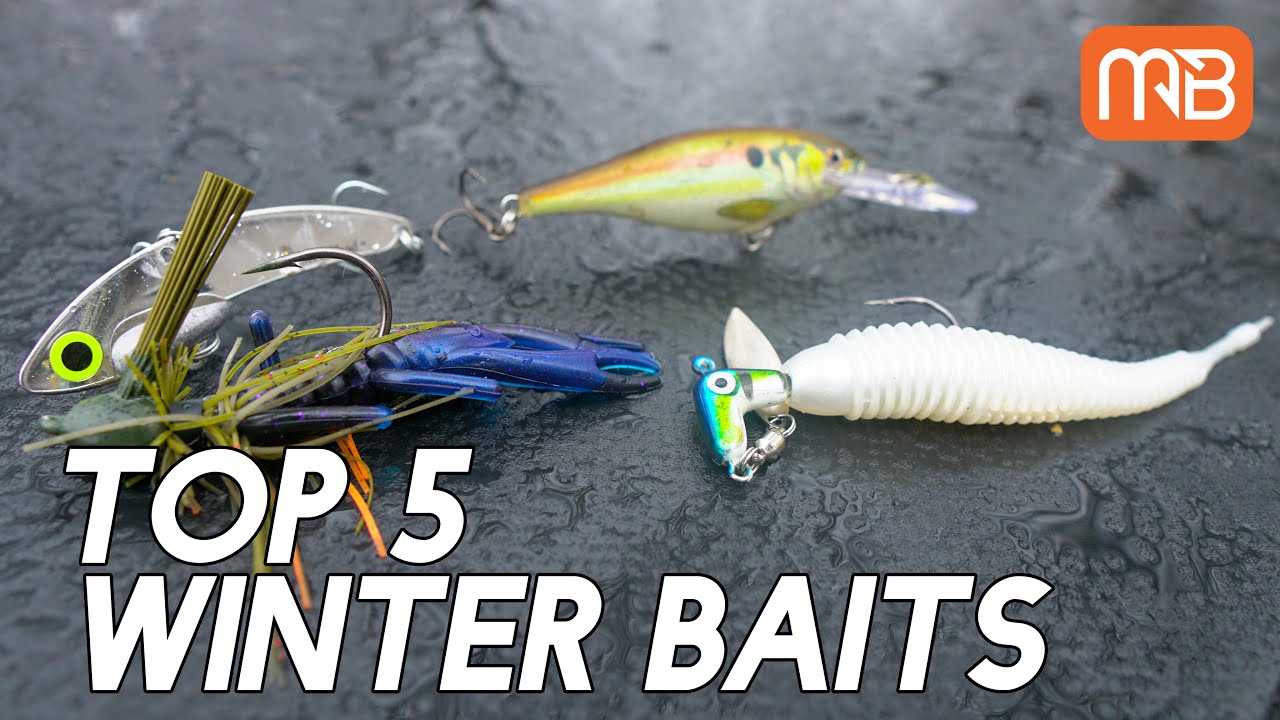 TOP 5 Winter Bass Baits 