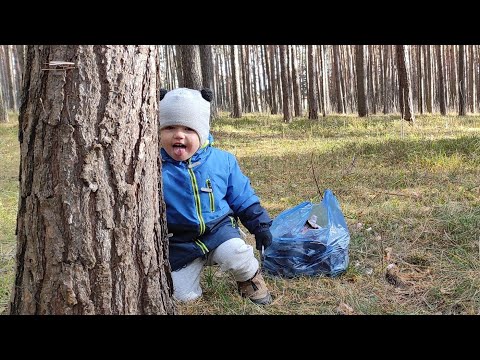 Ведьмин круг Собираем осенью 🍁🍄рядовка фиолетовая