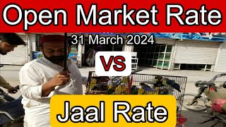 Birds price in karachi pakistan March 31, 2024 | Jaal rate update | Open market rate update